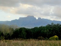 Veld And Mountains, Drakensberg