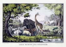 Vintage Animal Poster
