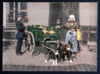 Vintage Dog Cart Photo