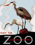 Visit The Zoo Poster (4)