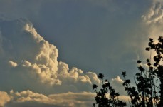 White Cumulus Cloud