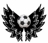 Winged Soccer Ball