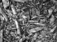 Wood Chips Texture 3