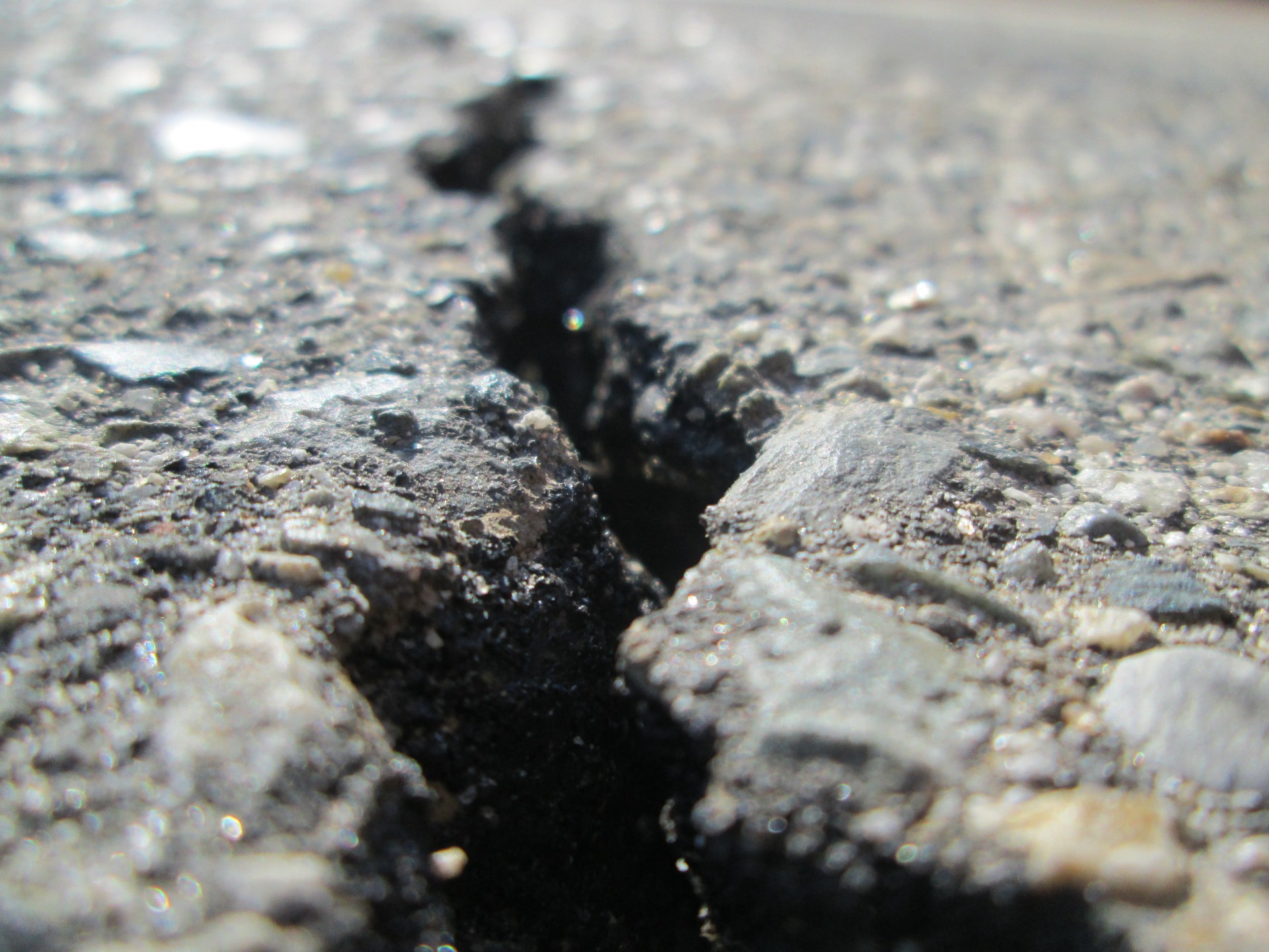 Macro Image of a crack in the Asphalt