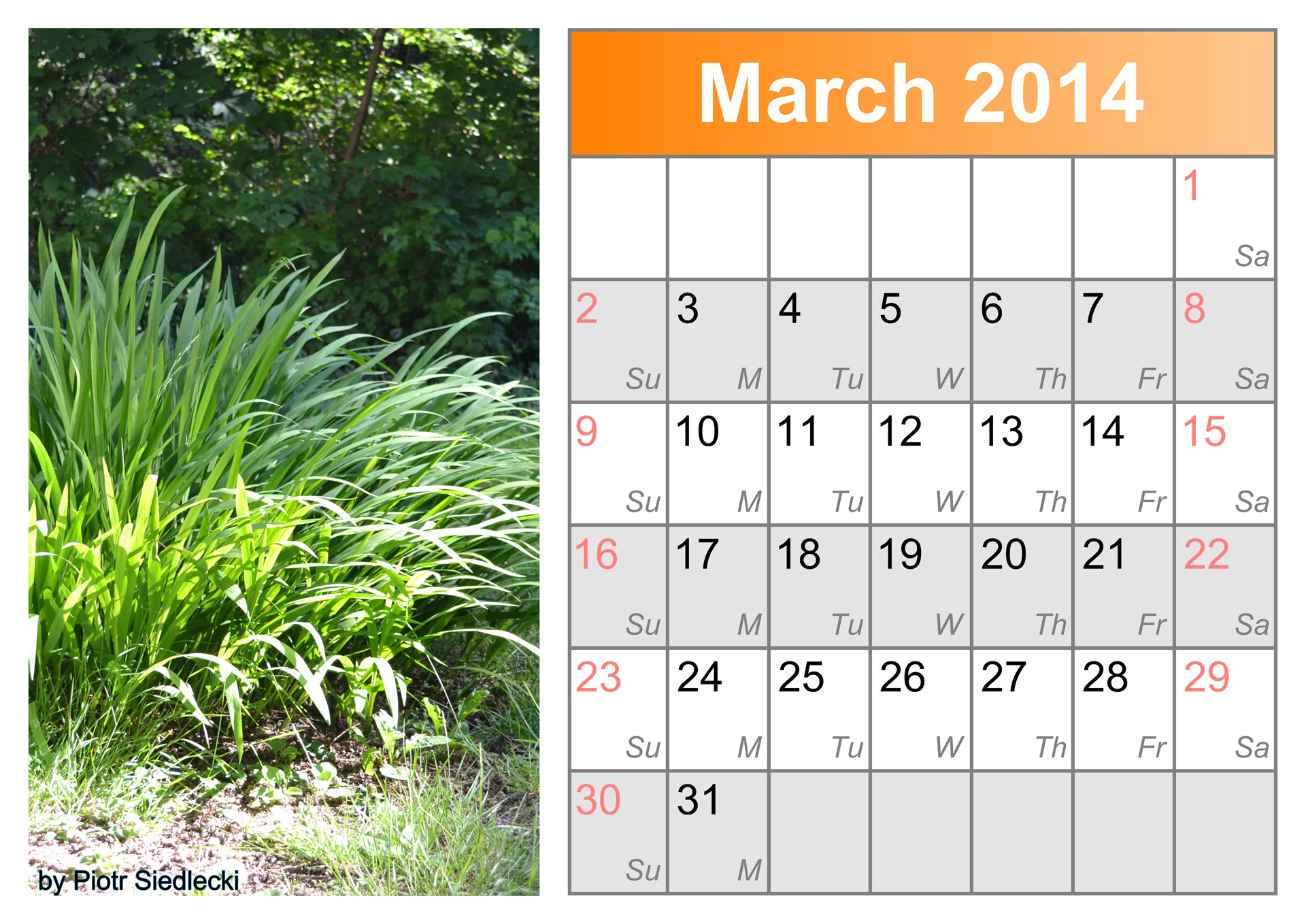 Calendar Month March 2014