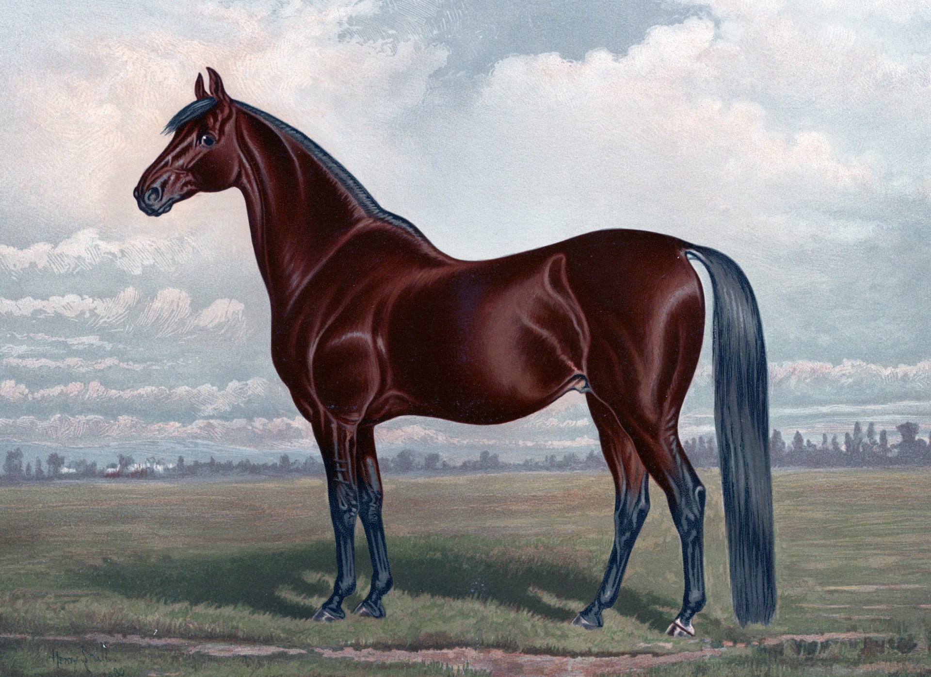 Chestnut Horse Painting (2)