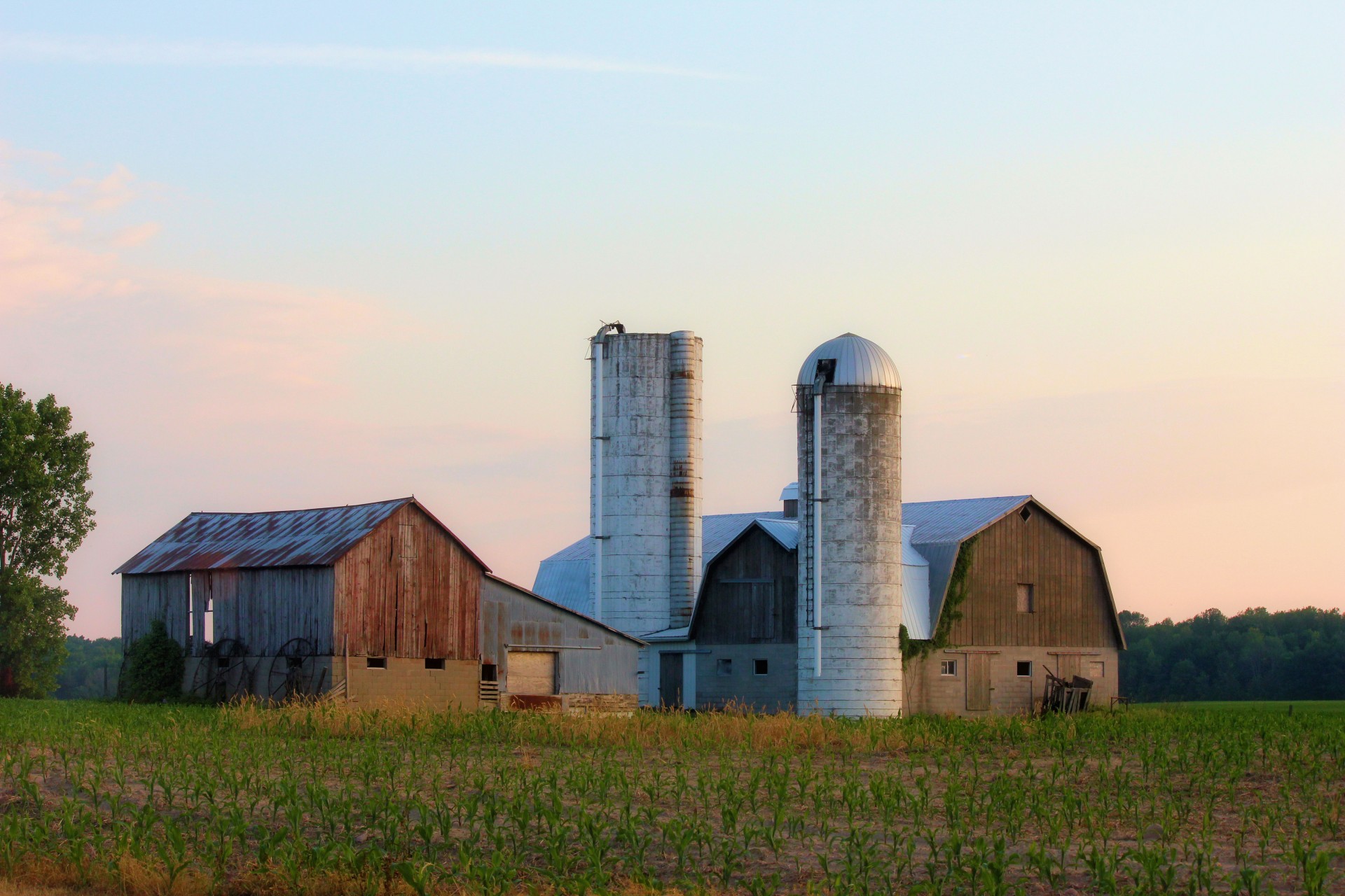 Farm in rural Michigan with silos, old barns, and a lot of planted produce.