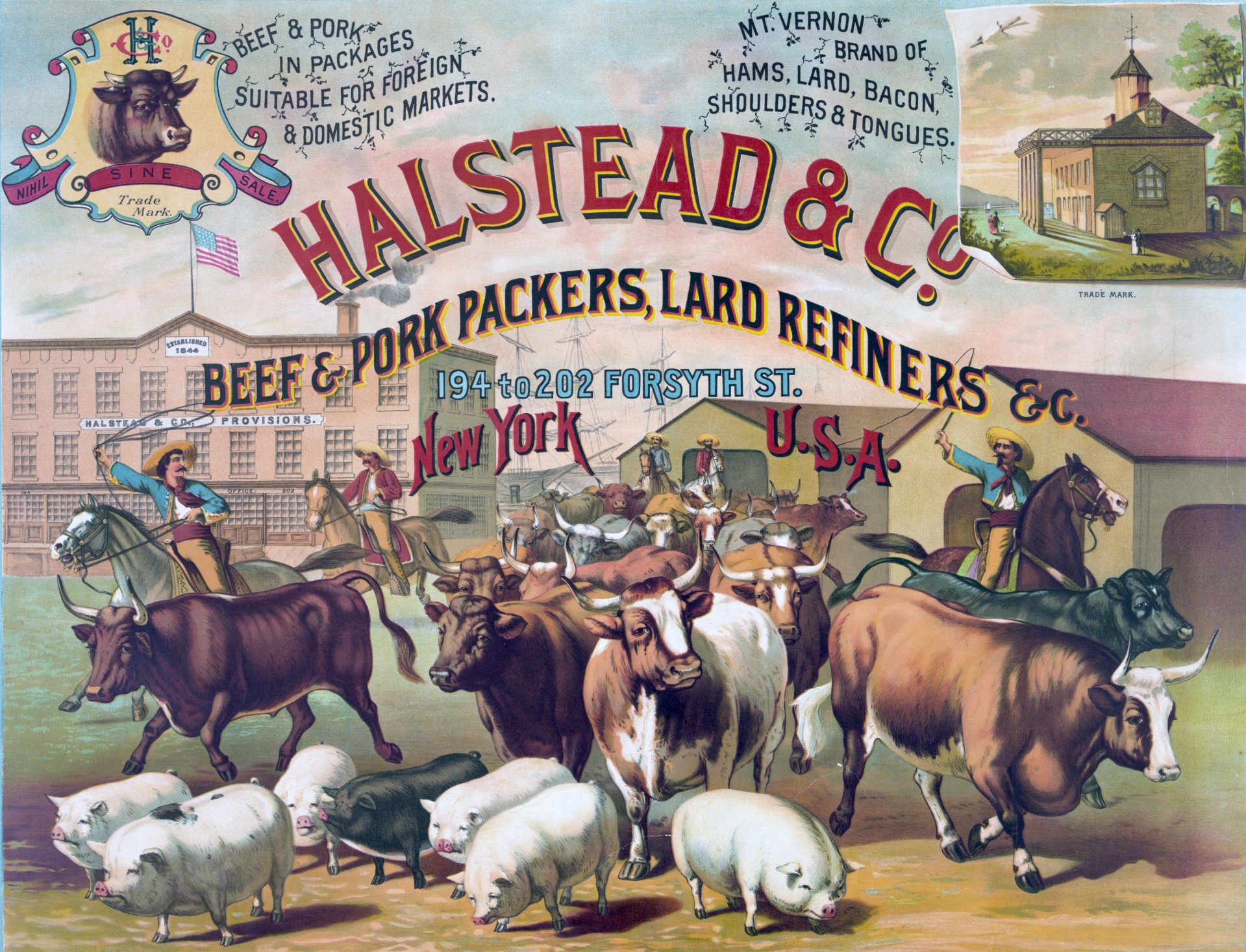 Public domain vintage image of cows, cattle and pigs being herded by men on horseback