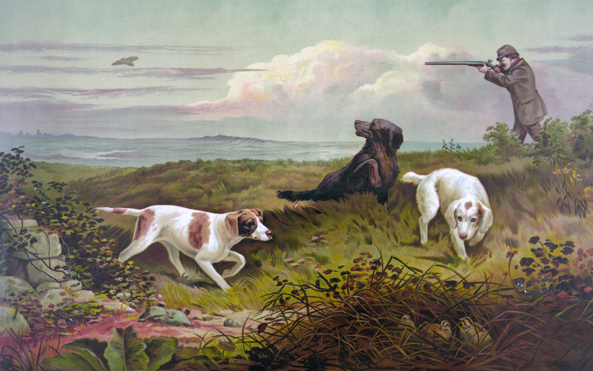Public domain vintage painting of three dogs and a man shooting birds