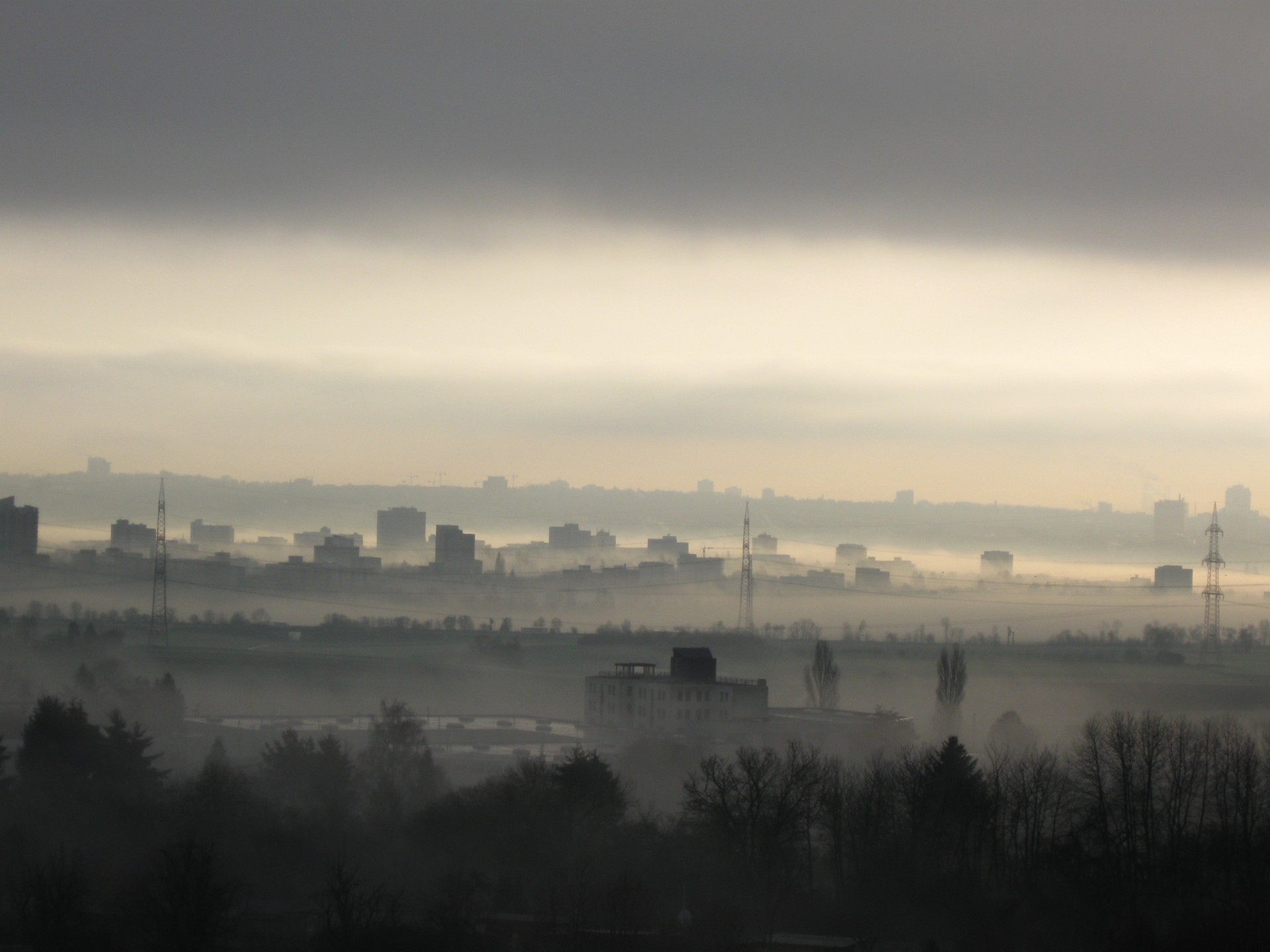 Fog Frankfurt