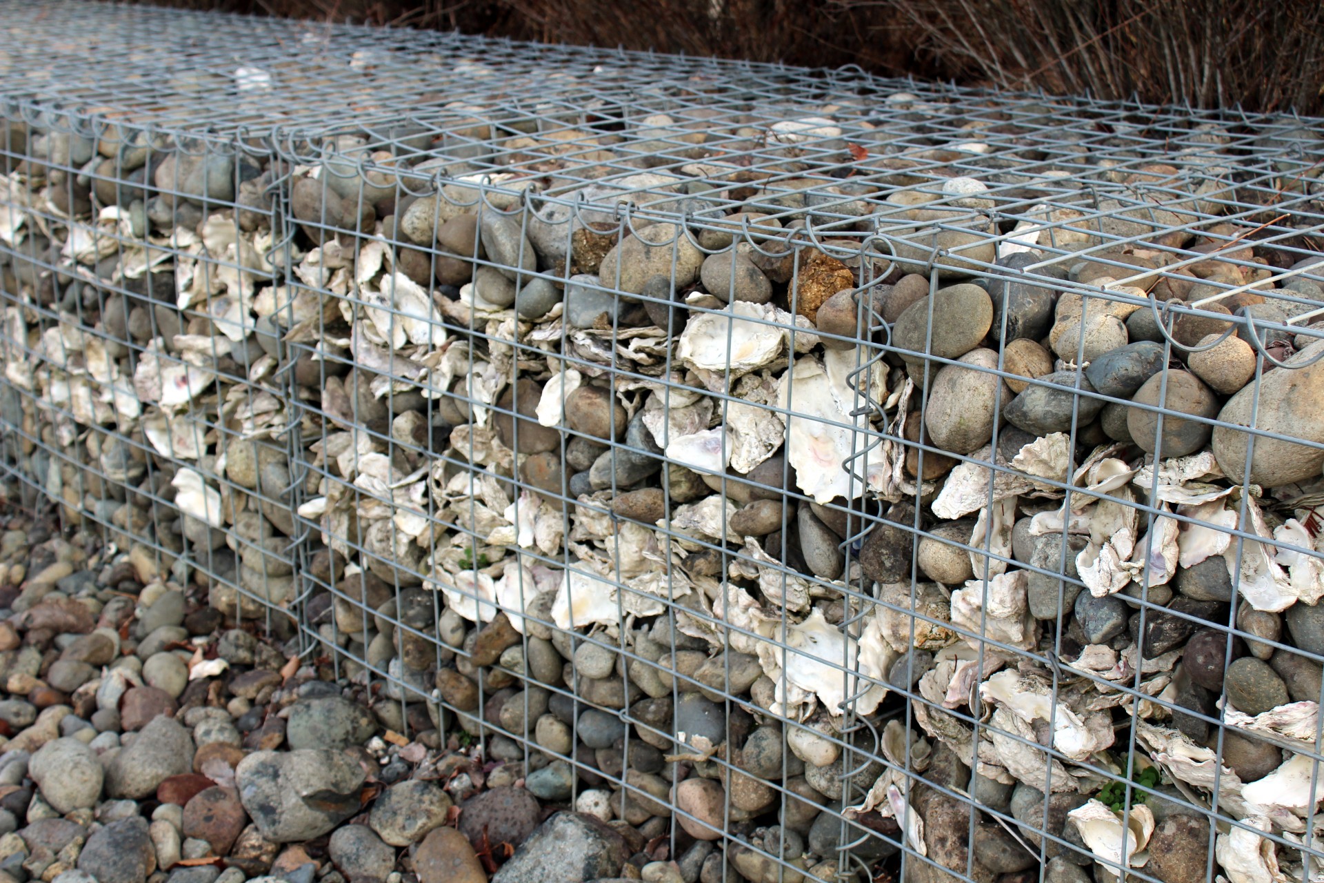 Stacked Gabion cubes containing rocks and oyster shells in a metal cage.