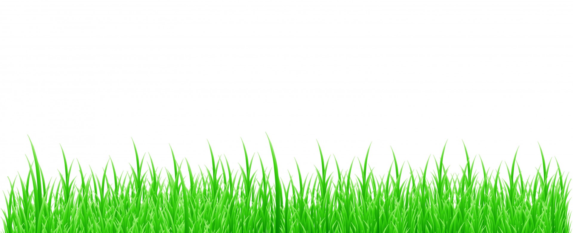 Grass White Background