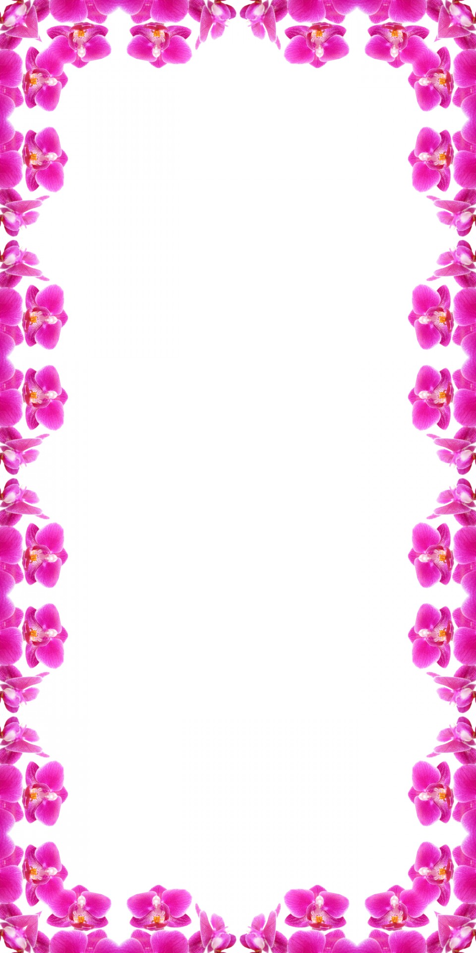 Pink Orchid Frame