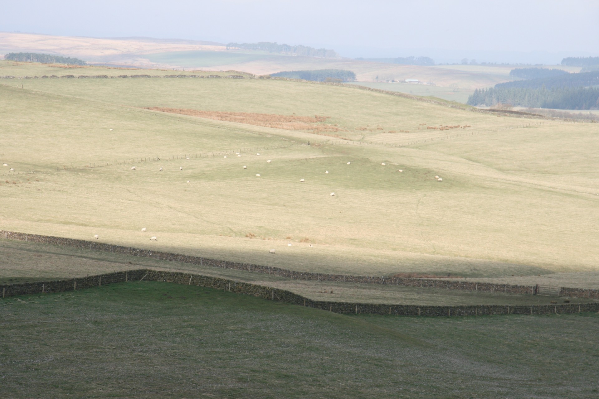 Scotland Wall Countryside Landscape