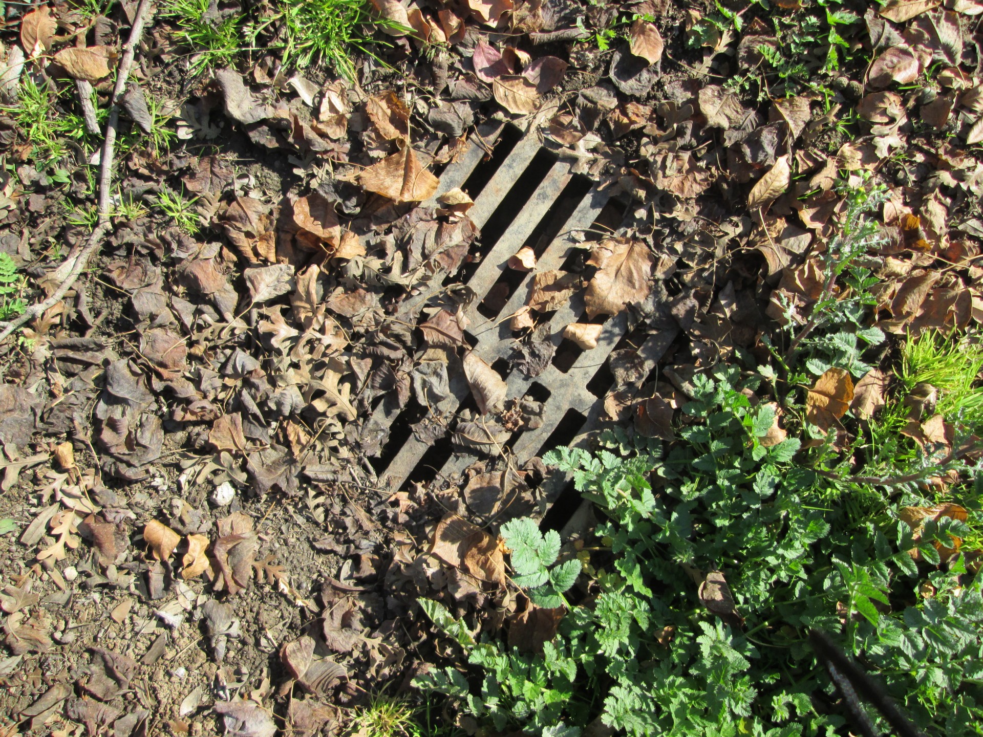 Image of a Storm Drain