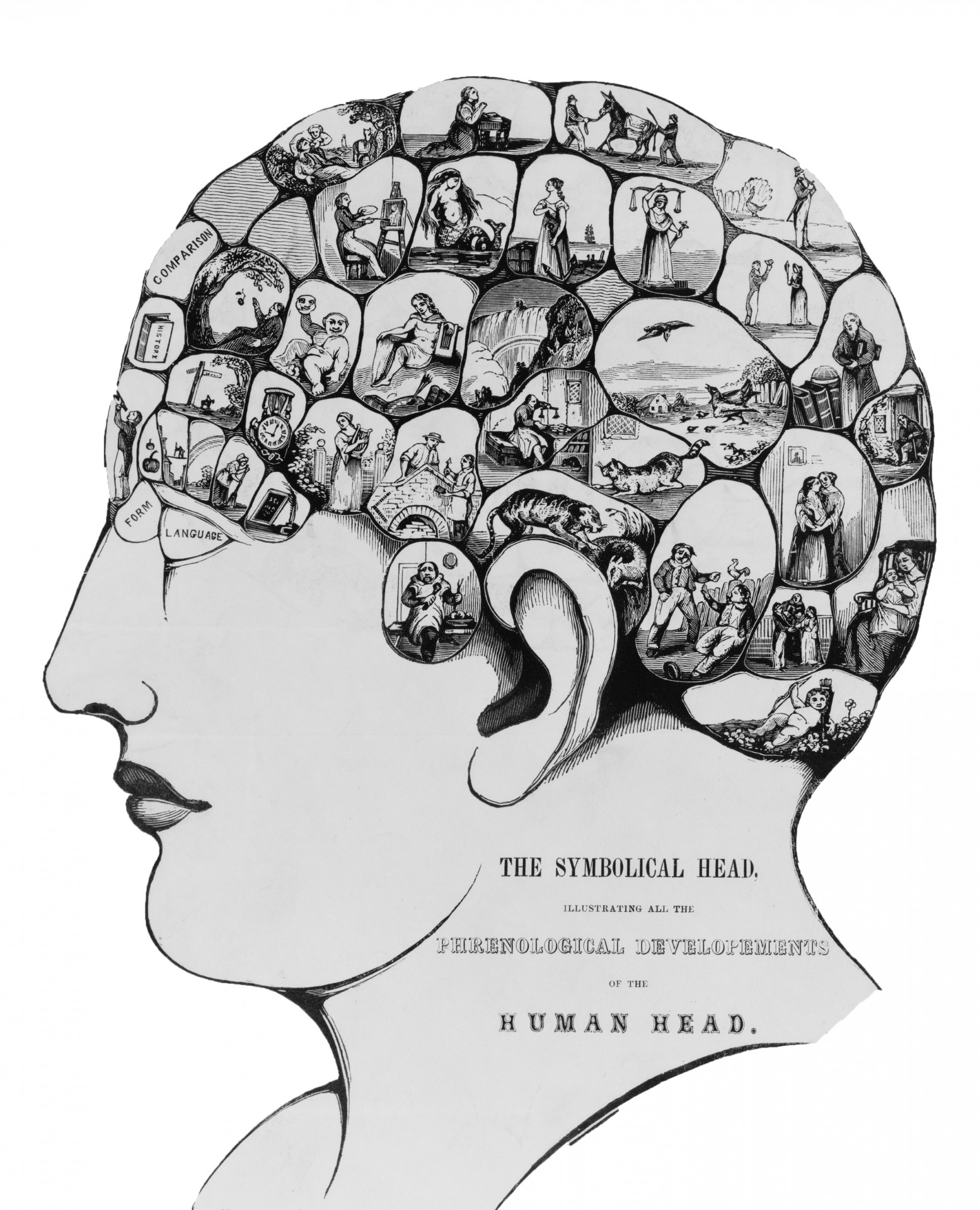 Symbolic Human Head