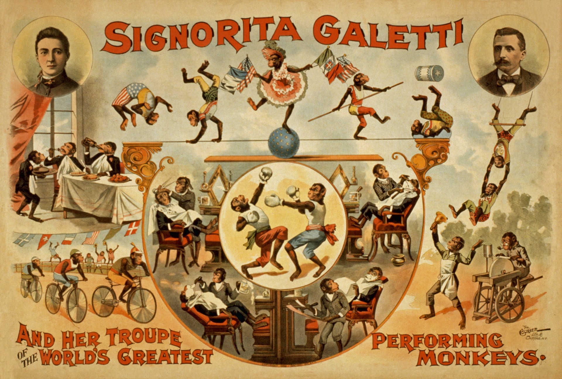 Vintage Performing Monkeys Poster