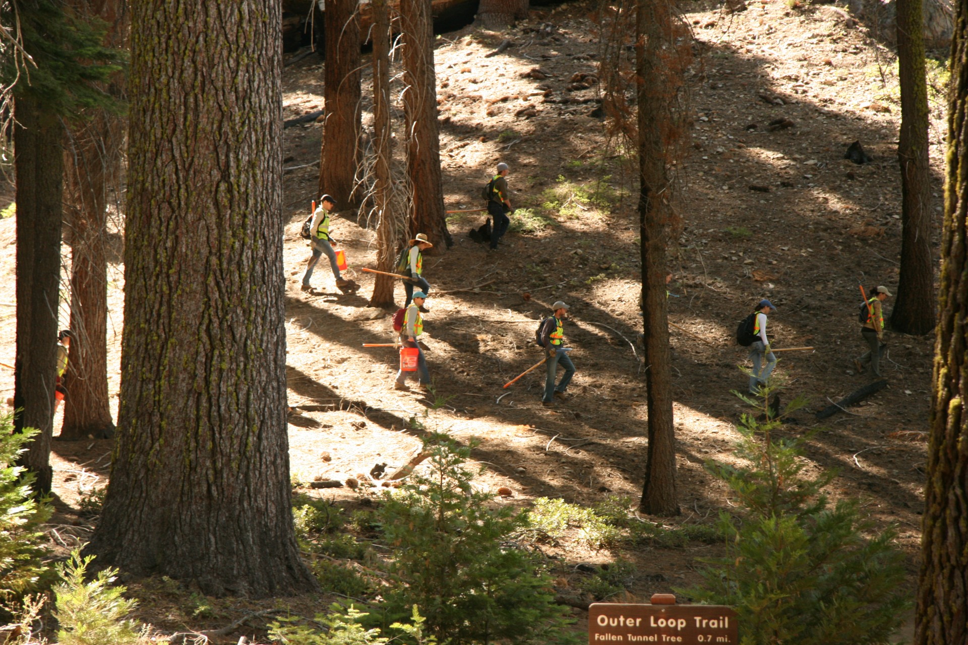 Yosemite Park Rangers