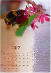 Calendar July 2014