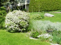 Landscaping (1)