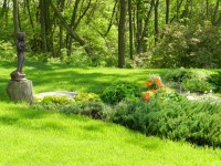 Landscaping (11)