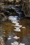 Babbling Brook Stream