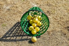 Basket Of Golf Balls