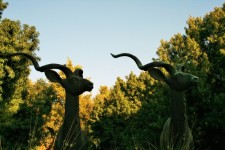 Bronze Statues Of Kudu Buck