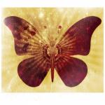 Brown Background With Butterfly