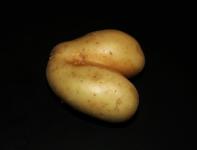 Bum Shaped Potato