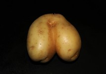 Buttock Potato