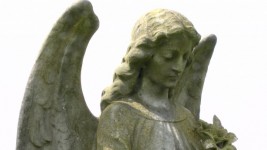 Cemetery Angel In Graveyard