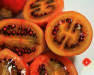 Cut Tree Tomato Fruit