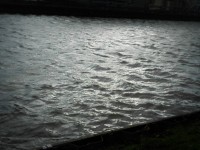 Dark Water On The Canal