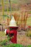 Fire Hydrant 1