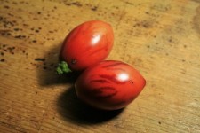 Fruit Of Tree Tomato