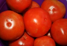 Gleaming Tomatoes