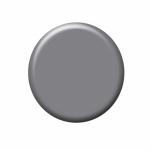 Grey Button For Web
