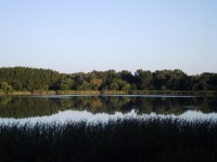 Lake 3