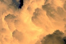 Luminous Cumulus Cloud