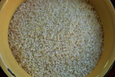 Maize Rice In A Bowl
