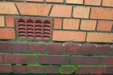 Moss In Grooves Between Bricks