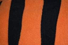 Orange Black Stripes Macro Pattern