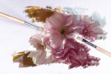 Paintbrush Painting Flowers