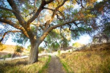Path To The Ranch