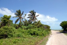 Road Way To The Beach