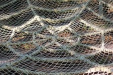 Rope Spider Web