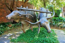 Statue Of Oxen Pulling Plough