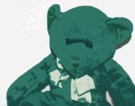 Teddy Bear Macro