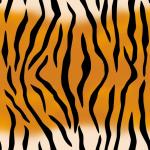 Tiger Pattern Seamless